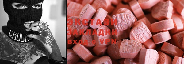 индика Киреевск
