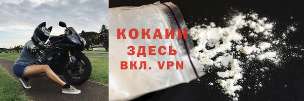 индика Киреевск
