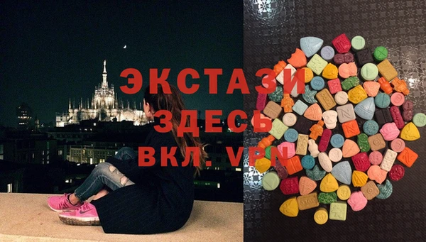индика Киреевск