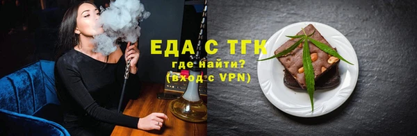 индика Киреевск