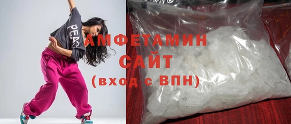 индика Киреевск