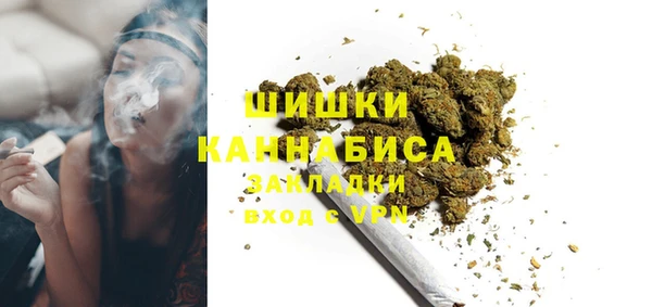 индика Киреевск