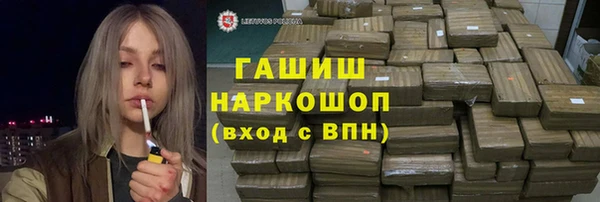 индика Киреевск