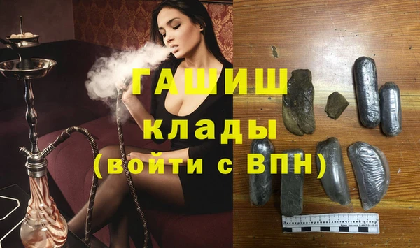 индика Киреевск