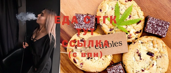 индика Киреевск