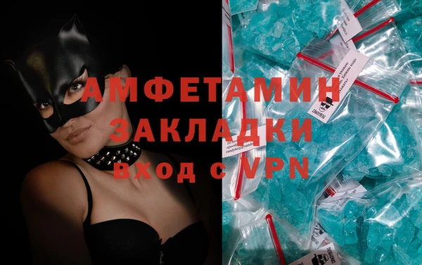 индика Киреевск