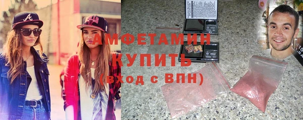 индика Киреевск