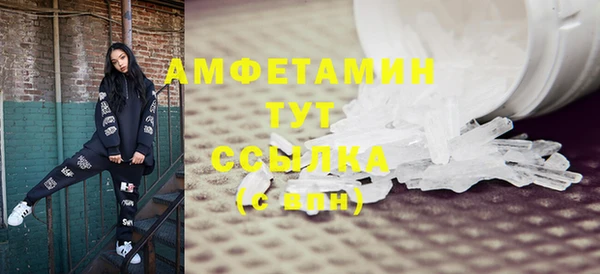 индика Киреевск
