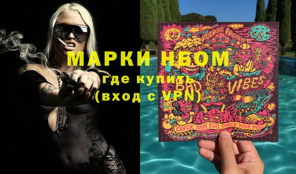 индика Киреевск